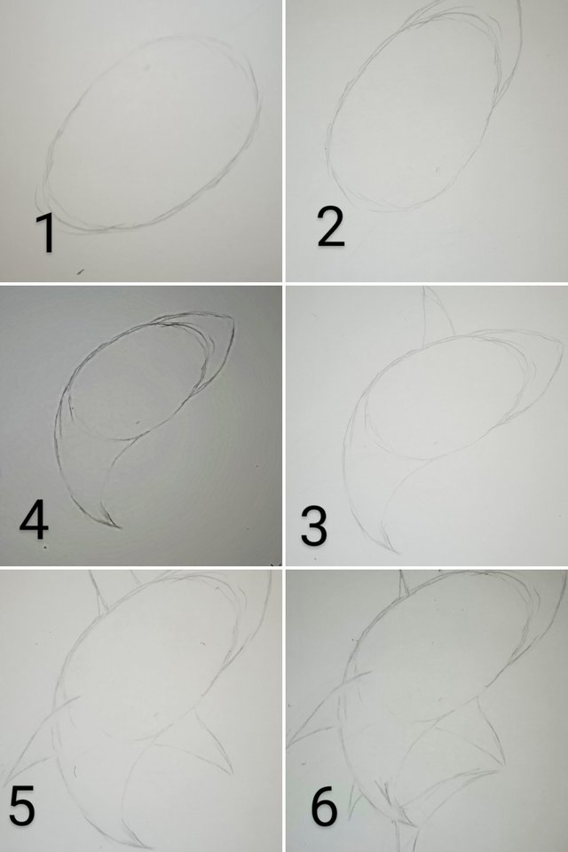 20250424_194705-COLLAGE~2.jpg