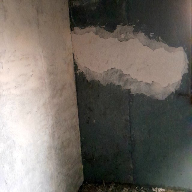 1000174242.jpg