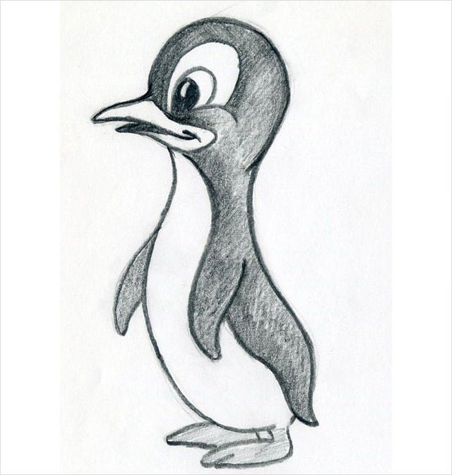 Penguine-Image.jpg