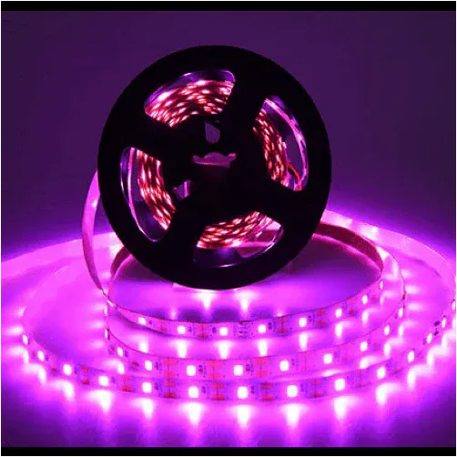 led light strips.webp
