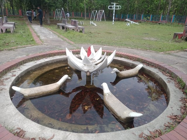 IMG20250419121024.jpg