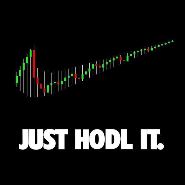 just-hodl-it