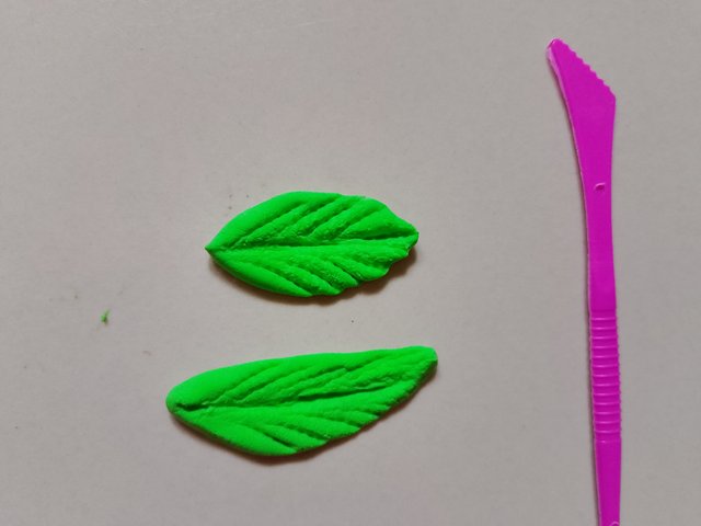 1000023330.jpg