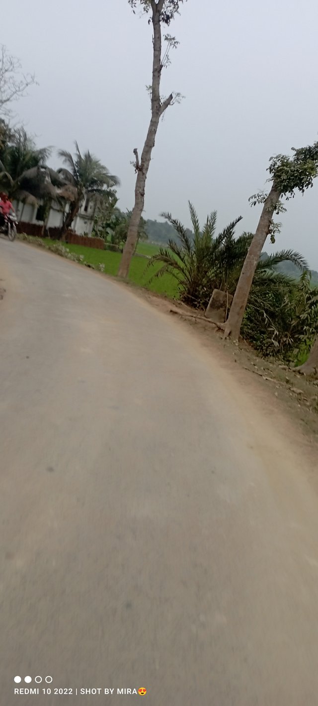 IMG_20250225_173202.jpg