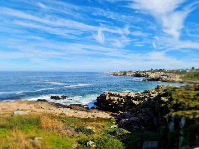 cliff path walk 2.jpeg