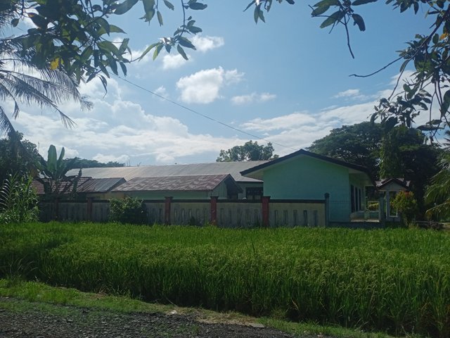 IMG20250506150725.jpg