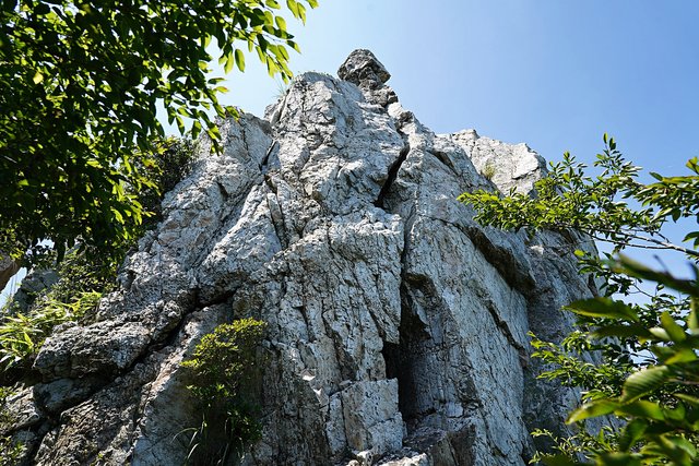 b-DSC08216.JPG
