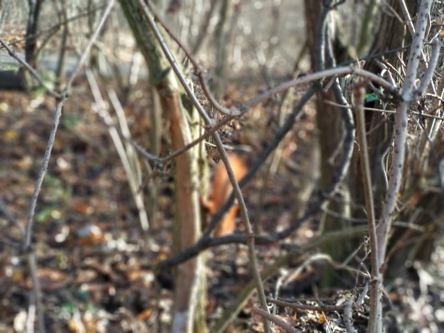 IMG_20191201_131825.jpg