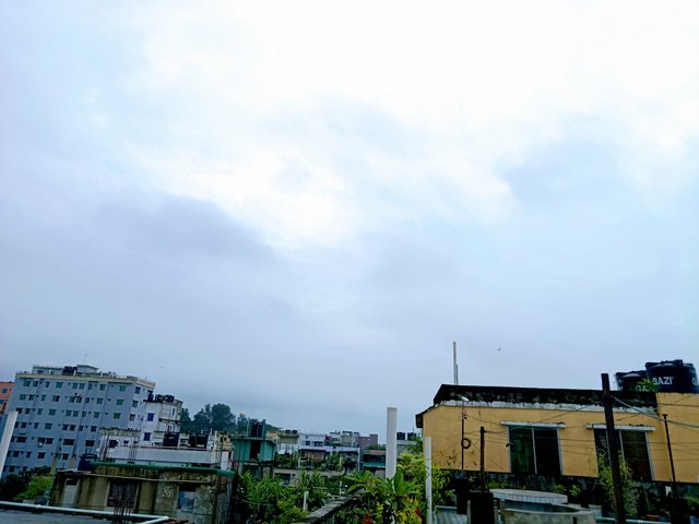 IMG_20250709_173908.jpg
