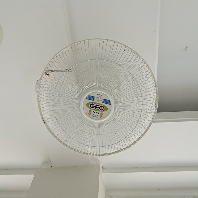 1000031669.jpg