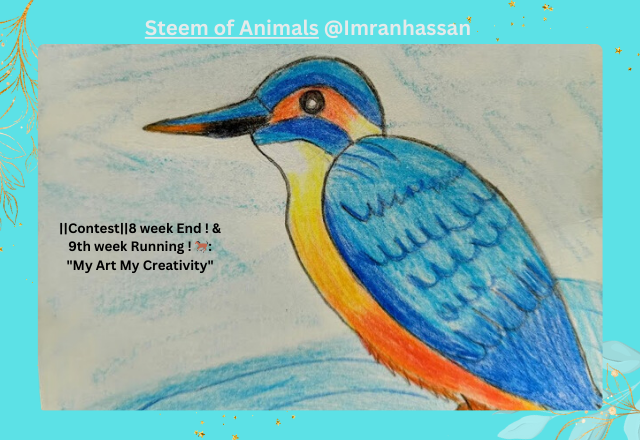 Steem of Animals @Imranhassan (3).png