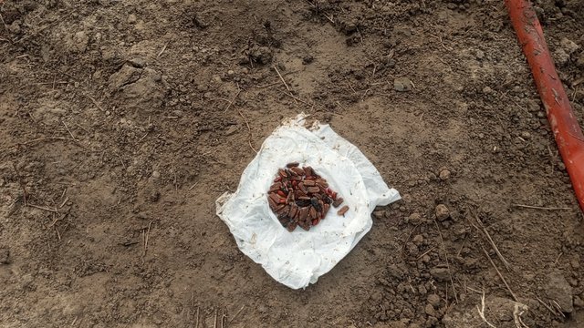 IMG_20231103_073209_9.jpg