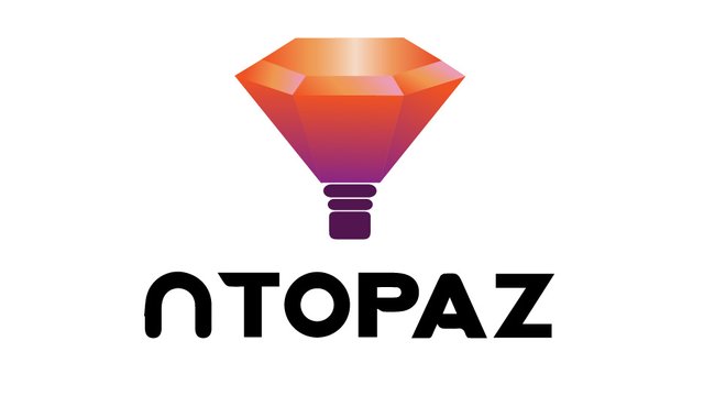 logo-ntopaz2.jpg