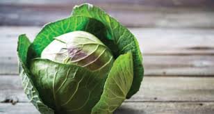 cabbage head.jpg