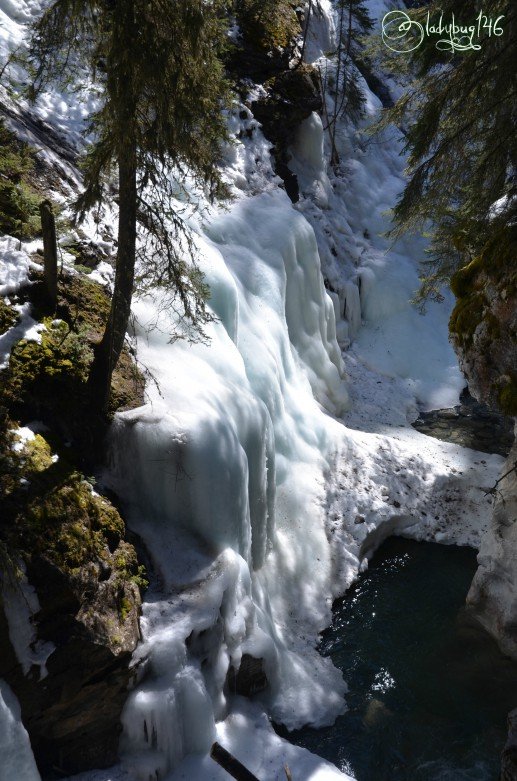 johnston_canyon3.jpg