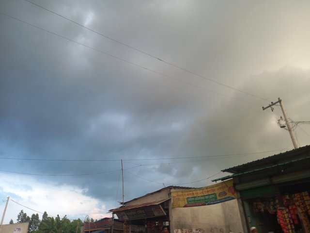20221004_170836.jpg
