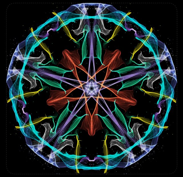 1000208048.jpg