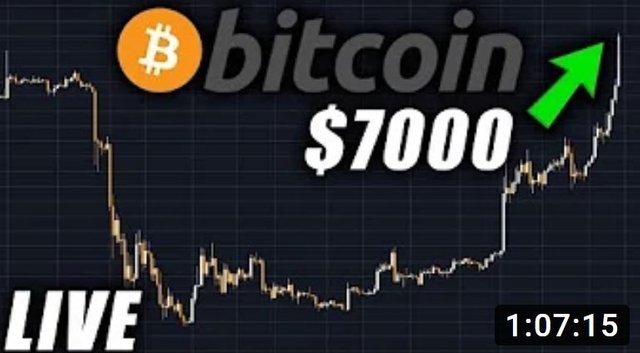 Bitcoin $7800 - $8000.JPG