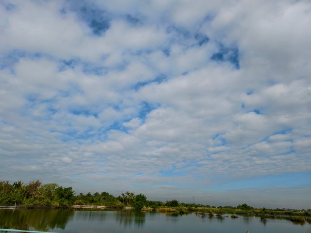 IMG_20250331_081623.jpg