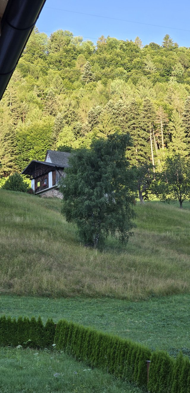 20250629_065936.jpg