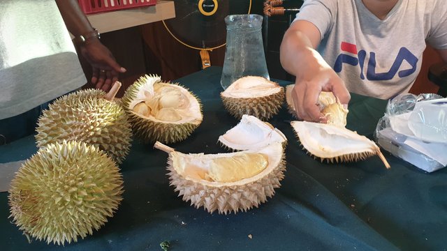 durian9.jpg