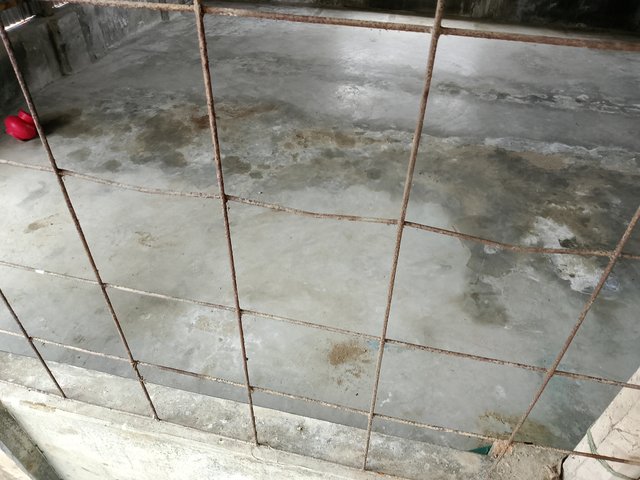 1000045973.jpg