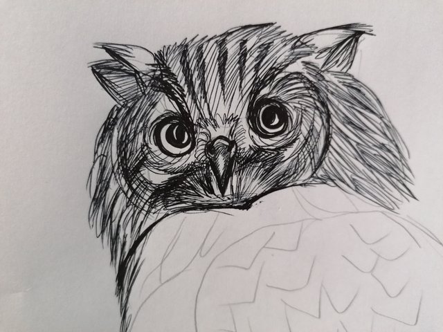 owl pen (5).jpg