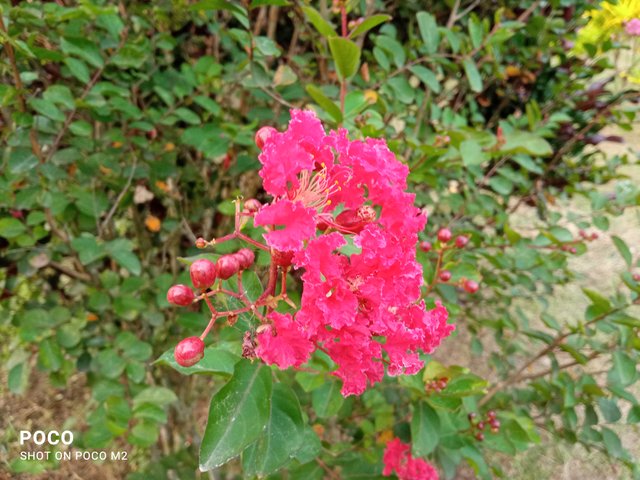IMG_20250605_180034.