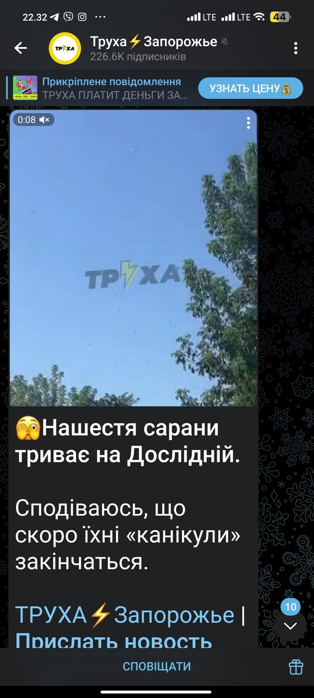 1000084380.jpg