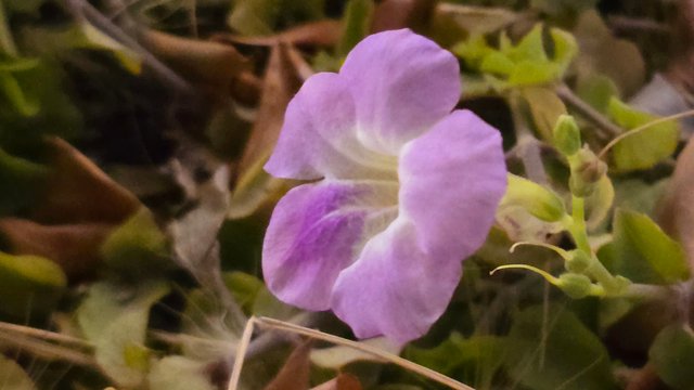 20250330_220139.jpg