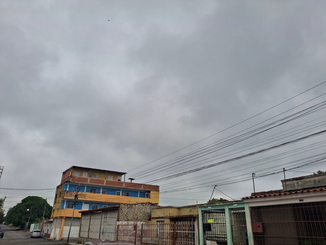 1000292242.jpg
