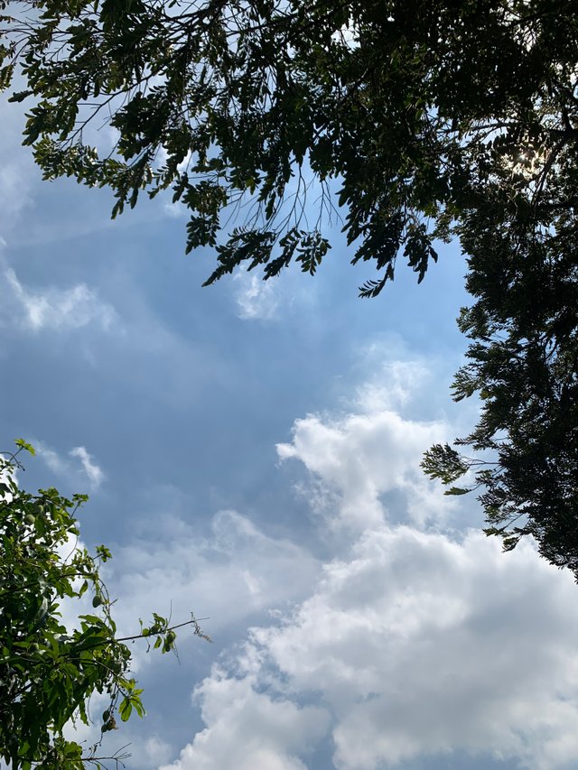 sky4.jpg