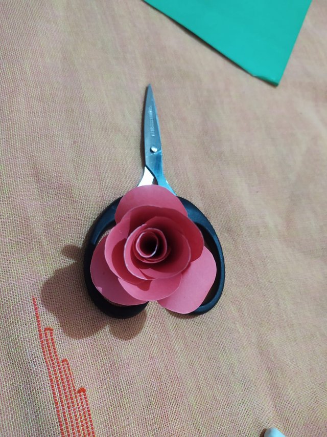 1000010063.jpg