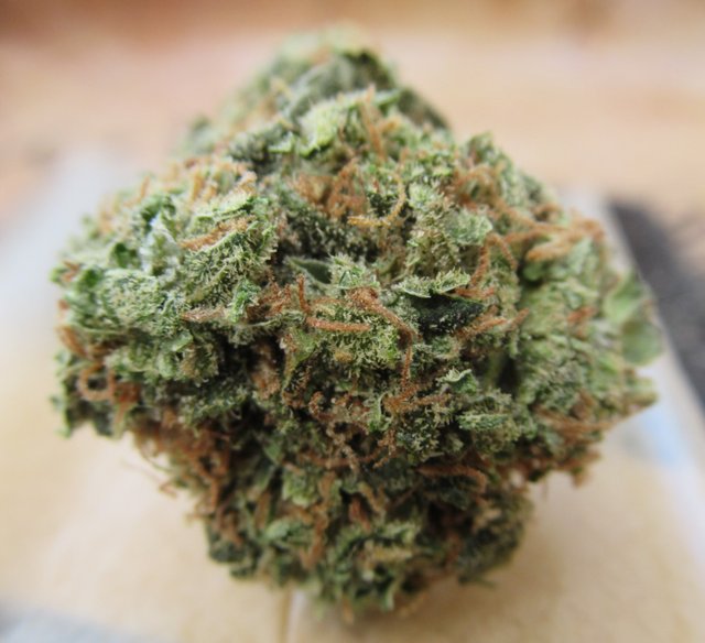 fullnugsideview.jpg