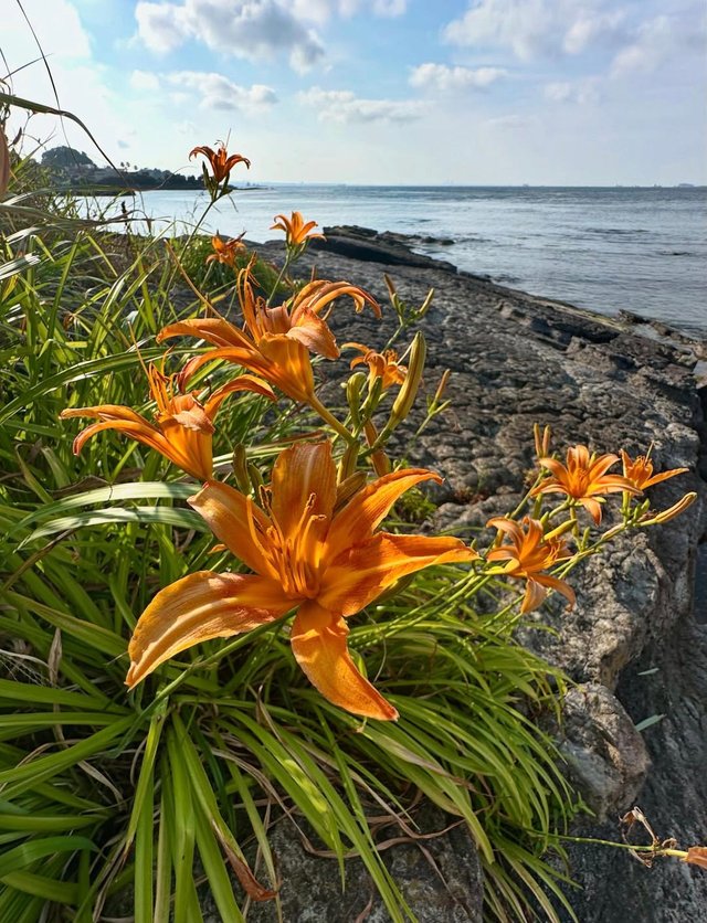 IMG_20250707_110754.jpg