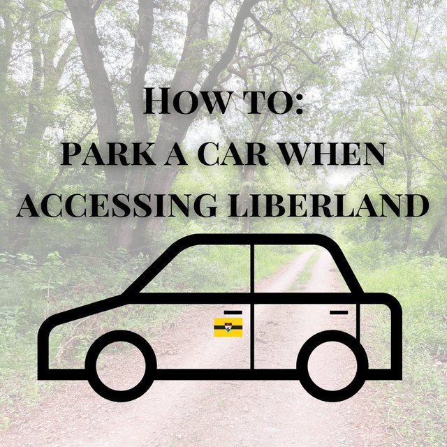 Liberland parking a car.jpeg
