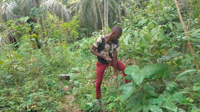 IMG20250823110050.jpg