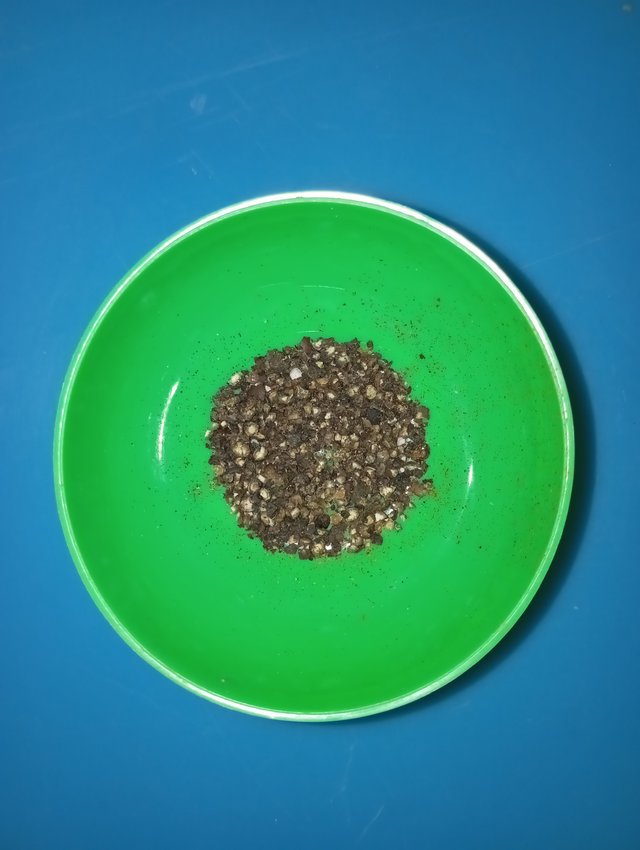 1000112868.jpg