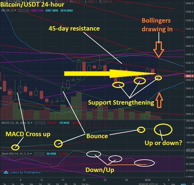 Jan 4 BTC T&A.jpg