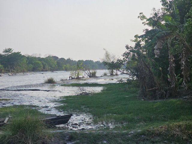 20250412_163512.jpg