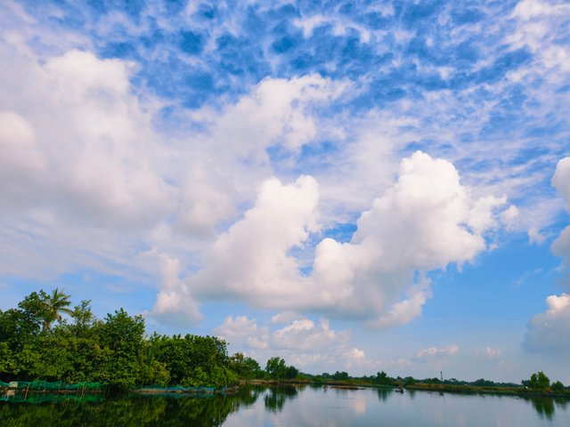 IMG_20250714_172520.jpg