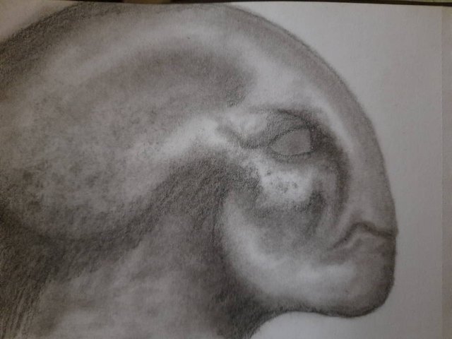 20250929_104245.jpg