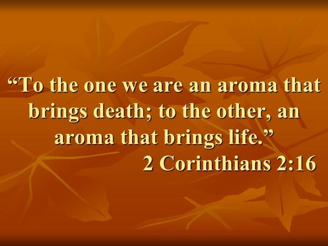 Bible study. To the one we are an aroma that brings death; to the other, an aroma that brings life.jpg