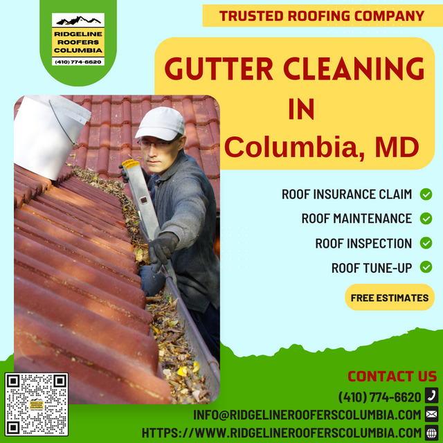 GUTTER CLEANING.png