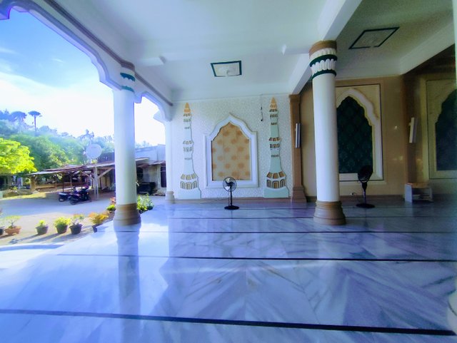 IMG_20250502_164414.jpg