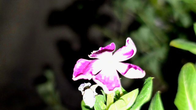 20250706_021728.jpg