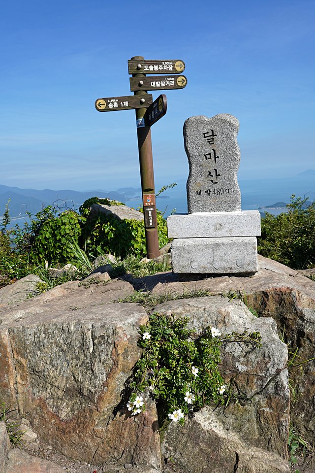b-DSC08401.JPG
