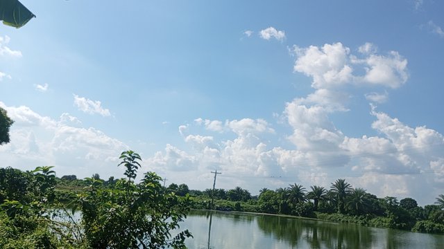 IMG_20240829_145056_0.jpg