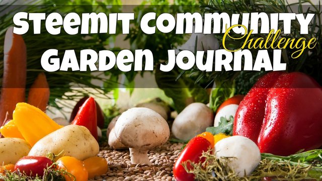 gardening journal (1).jpg