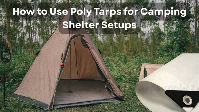 How to Use Poly Tarps for Camping Shelter Setups.jpg